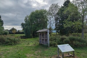 Een groene wijk