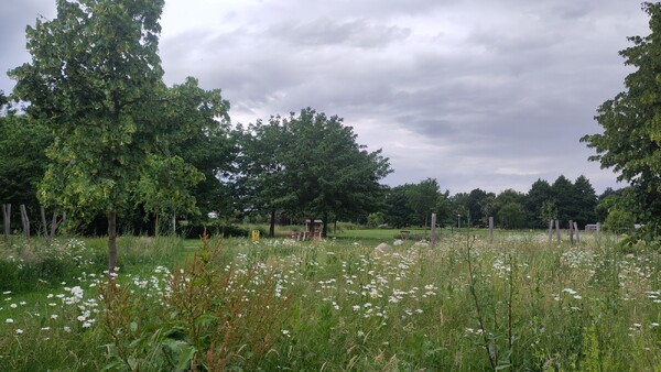 Wijkraad Boxmeer Zuid